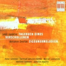 Tagebuch eines verschollenen - tagebuch,